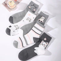 Packung Mit 5 Paar Socken Mit Katzenmuster