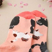 Lässige Socken Mit Katzenmuster