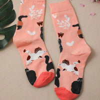 Lässige Socken Mit Katzenmuster