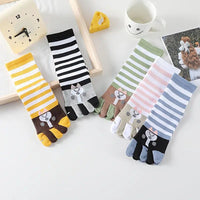 Packung Mit 5 Paar Fünf-Zehen-Socken