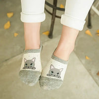 Lässige Socken Mit Katzenmuster