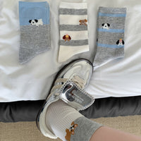 Lässige Socken Mit Welpenmotiv